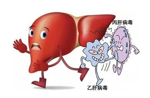 【HBV药物】韦立得TAF，肝脏给药新疗效